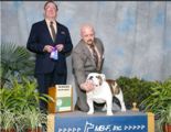 Hercules - Winners Dog - MAJOR - Tallahassee Florida