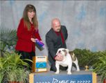 Hercules - Winners Dog - Tallahassee Florida