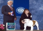 Reserve Winners Dog